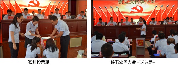 龙8-long8(国际)唯一官方网站