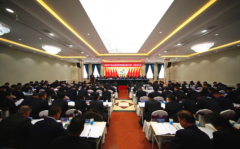 新时代 新使命 新作为--中共龙8第一次代表大会胜利召开